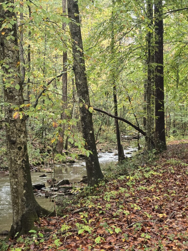 Cullman community 4