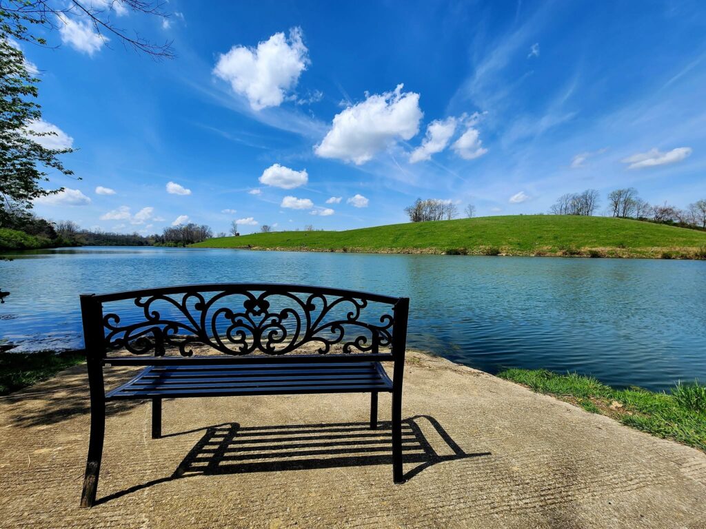 Dry Ridge bench lakeview