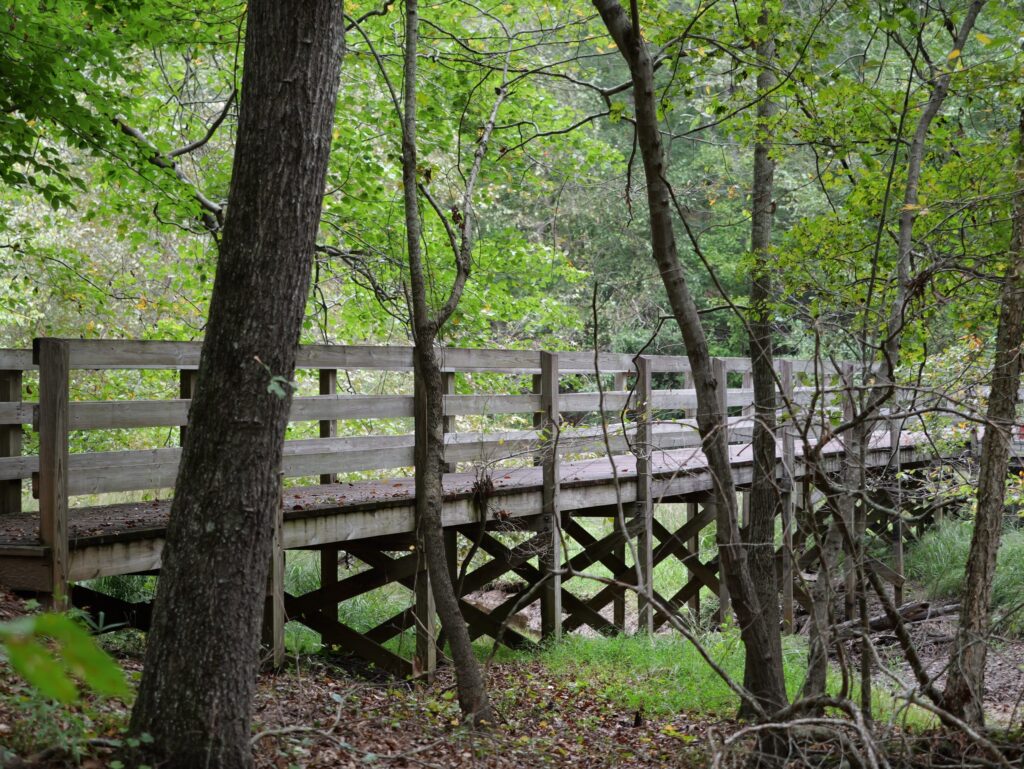 LH trails