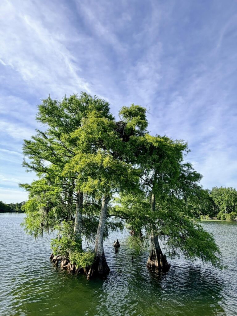 LM lake