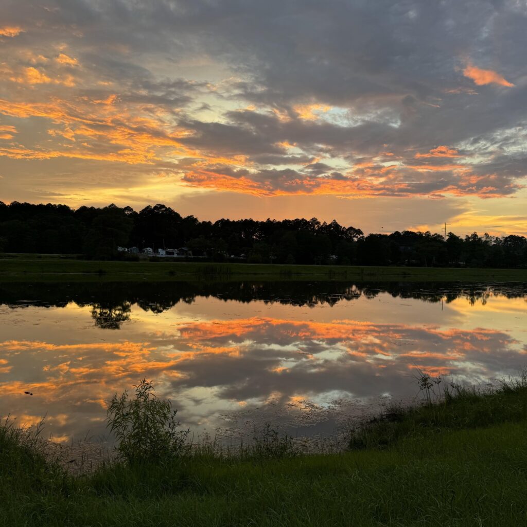 LL water at sunset