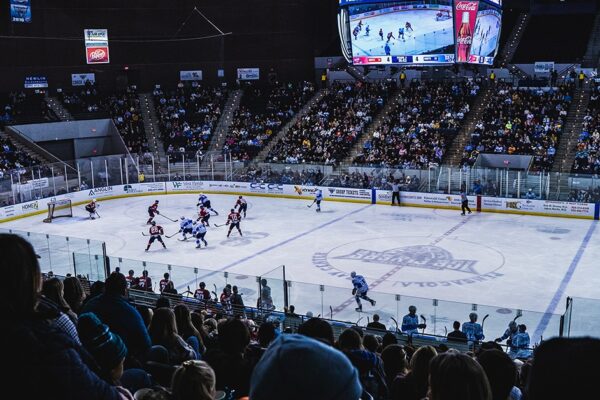 the Pensacola Ice Flyers are Pensacola, Florida's very own professional hockey team