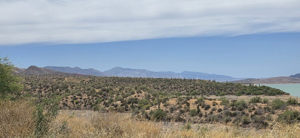 outdoor view of the mountains and desert around Roosevelt Lake and Roosevelt Cottages RV Park in Tonto Basin, Arizona