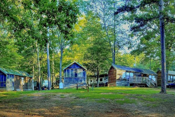 Point Lake Hartwell