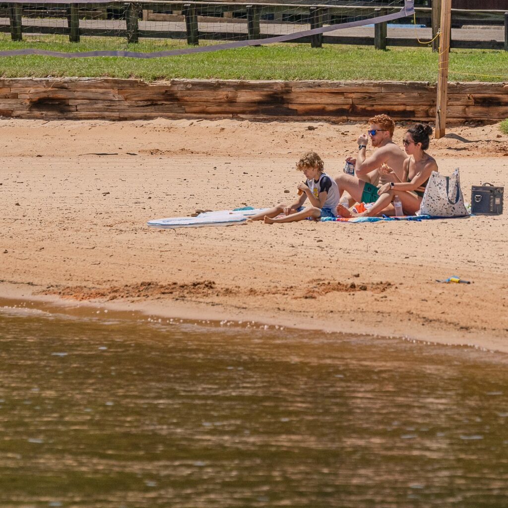 Wheeler Lake beach
