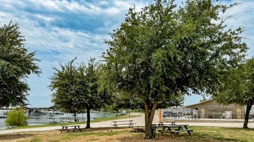 Willow Beach outdoors