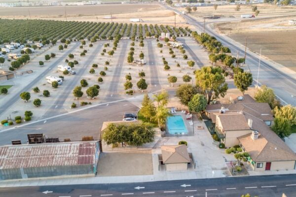Orange Grove